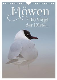 Produktbild: M&ouml;wen - die V&ouml;gel der K&uuml;ste (Wandkalender 2026 DIN A4 hoch), CALVENDO Monatskalender