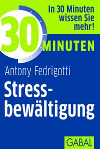 Bild vom Artikel 30 Minuten Stressbewältigung vom Autor Antony Fedrigotti