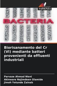 Produktbild: Biorisanamento del Cr (VI) mediante batteri provenienti da effluenti industriali