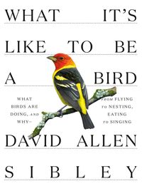 Bild vom Artikel What It's Like to Be a Bird vom Autor David Allen Sibley