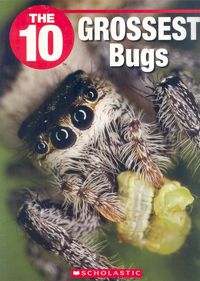 Produktbild: The 10 Grossest Bugs