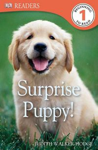 Produktbild: DK Readers L1: Surprise Puppy