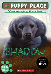 Produktbild: Miles, E: Puppy Place #3: Shadow