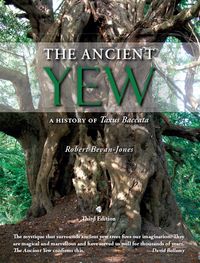 Produktbild: Ancient Yew