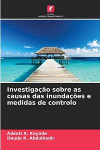 Produktbild: Investiga&ccedil;&atilde;o sobre as causas das inunda&ccedil;&otilde;es e medidas de controlo
