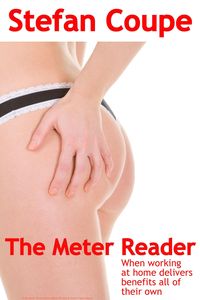 Produktbild: The Meter Reader