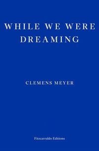 Bild vom Artikel While We Were Dreaming vom Autor Clemens Meyer