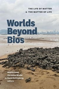 Produktbild: Worlds Beyond Bios