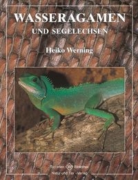 Produktbild: Wasseragamen und Segelechsen
