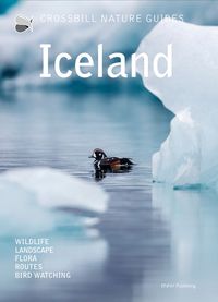 Produktbild: Iceland