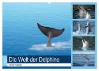 Produktbild: Die Welt der Delphine (Wandkalender 2026 DIN A2 quer), CALVENDO Monatskalender