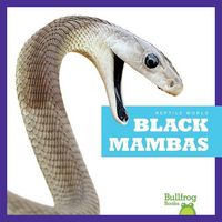 Produktbild: Black Mambas
