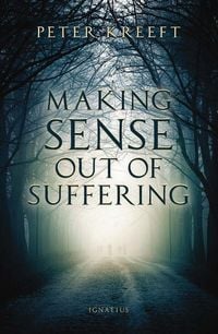 Produktbild: Making Sense Out of Suffering