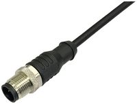 Produktbild: BKL Electronic 2702021 Sensor-/Aktor-Anschlussleitung M12 Stecker, gerade 2 m Polzahl Sensoren: 4 1 St.