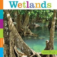 Produktbild: Wetlands