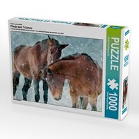 Produktbild: CALVENDO Puzzle Ein Motiv aus dem Kalender Pferde zum Tr&auml;umen | 1000 Teile Lege-Gr&ouml;&szlig;e 64x48cm Foto-Puzzle f&uuml;r gl&uuml;ckliche Stunden