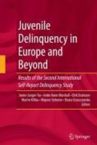 Produktbild: Juvenile Delinquency in Europe and Beyond