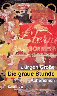 Produktbild: Die graue Stunde
