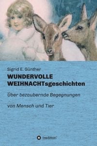 Produktbild: Wundervolle Weihnachtsgeschichten
