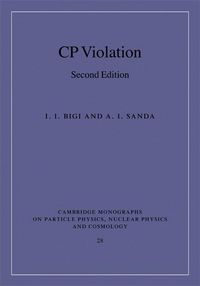 Produktbild: CP Violation