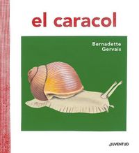 Produktbild: El caracol