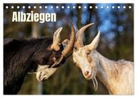 Produktbild: Albziegen (Tischkalender 2027 DIN A5 quer), CALVENDO Monatskalender