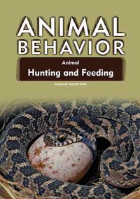 Produktbild: Goldstein, N: Animal Hunting and Feeding