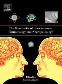 Produktbild: The Boundaries of Consciousness: Neurobiology and Neuropathology