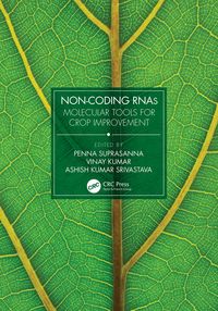 Produktbild: Non-Coding RNAs