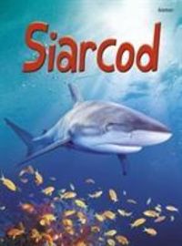 Produktbild: Clarke, C: Cyfres Dechrau Da: Siarcod