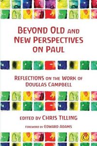 Produktbild: Beyond Old and New Perspectives on Paul