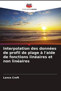 Produktbild: Interpolation des donn&eacute;es de profil de plage &agrave; l'aide de fonctions lin&eacute;aires et non lin&eacute;aires