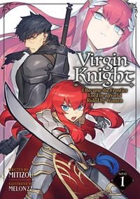 Produktbild: Virgin Knight: I Became the Frontier Lord in a World Ruled by Women (Light Novel) Vol. 1