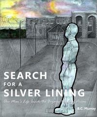 Produktbild: Search for a Silver Lining