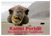 Produktbild: Kamel Portr&auml;t (Tischkalender 2027 DIN A5 quer), CALVENDO Monatskalender
