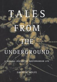 Produktbild: Tales From The Underground