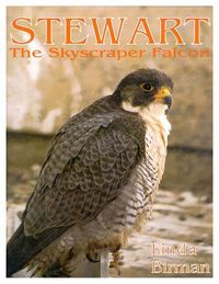 Produktbild: Stewart