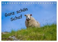 Produktbild: Ganz sch&ouml;n Schaf (Tischkalender 2027 DIN A5 quer), CALVENDO Monatskalender