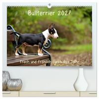 Produktbild: Bullterrier 2027 Frech und fr&ouml;hlich durch das Jahr (hochwertiger Premium Wandkalender 2027 DIN A2 quer), Kunstdruck in Hochglanz