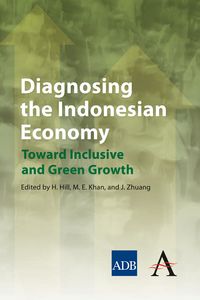 Produktbild: Diagnosing the Indonesian Economy