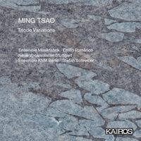 Produktbild: Triode Variations