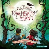 Produktbild: Die Geheimnisse von Ravenstorm Island 3: Der Mondsteinturm