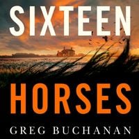 Produktbild: Sixteen Horses