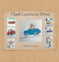 Produktbild: Flash Learns to Drive