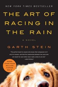Produktbild: The Art of Racing in the Rain