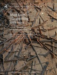 Produktbild: Must Farm pile-dwelling settlement