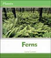 Produktbild: Ferns