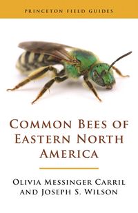 Produktbild: Common Bees of Eastern North America