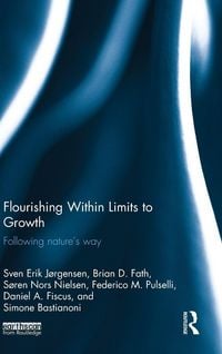Produktbild: Flourishing Within Limits to Growth