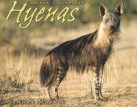 Produktbild: Markle, S: Hyenas